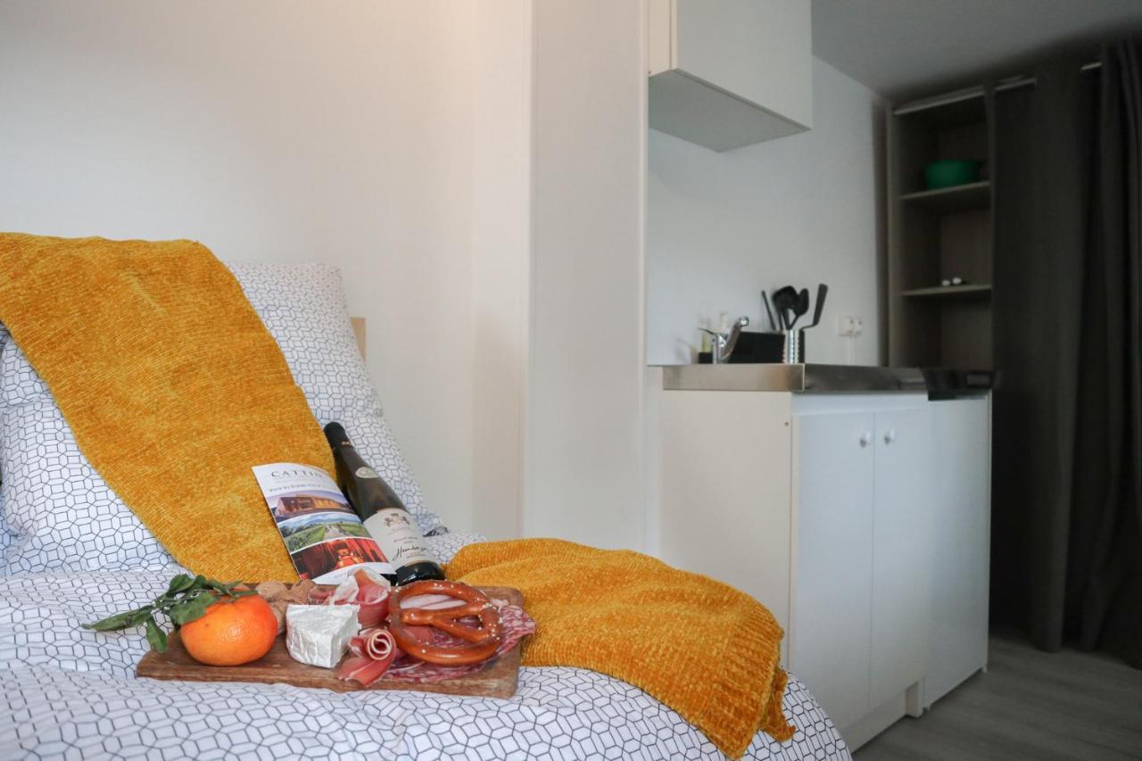 Le Domaine Mulhousien Apartamento Mulhouse Exterior foto